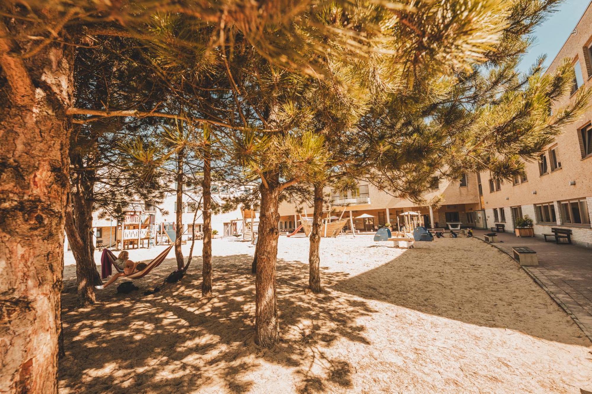 Vakantiedomein Hoge Duin أوستدوينكيرك المظهر الخارجي الصورة